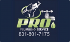 Pro Plumbing Service
