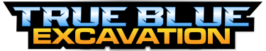 TRUE BLUE ENTERPRISES LLC